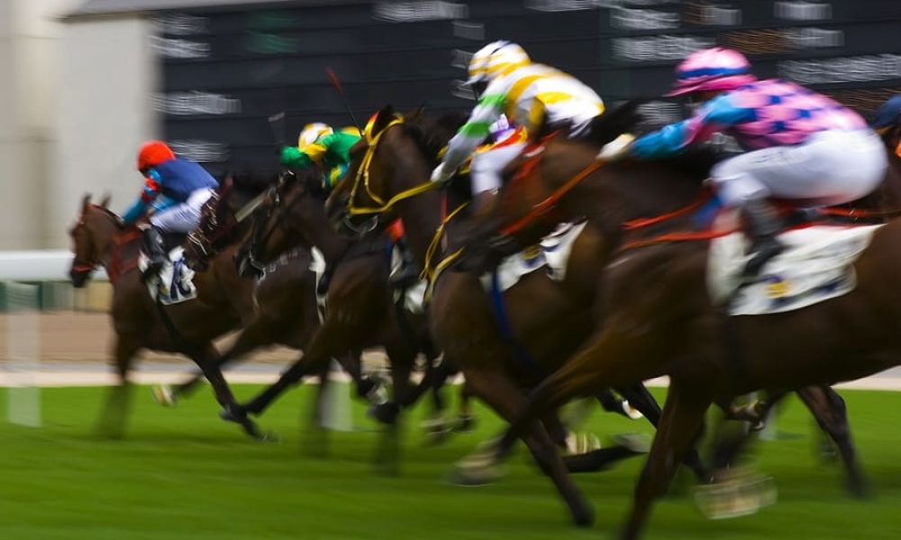 Iconic silks in the Grand National