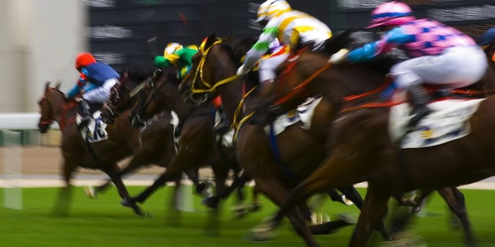 Iconic silks in the Grand National