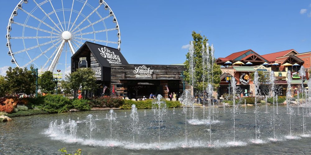 Why Live Shows Are Becoming a Go-To Choice for Family Entertainment