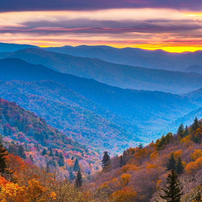 How to Make Family Travel Less Stressful