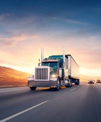 The Bodega Mexicana Wholesale Company