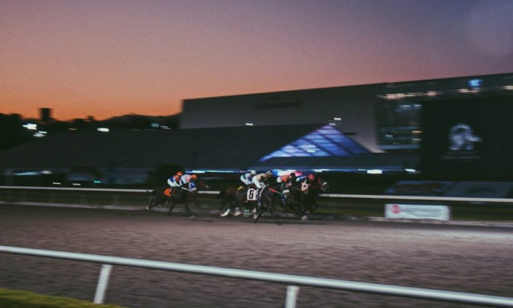 The 2026 Stakes: Why These Preakness Longshots Are Gaining Attention