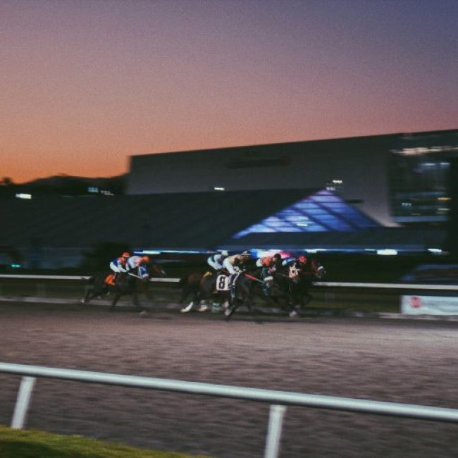 The 2026 Stakes: Why These Preakness Longshots Are Gaining Attention