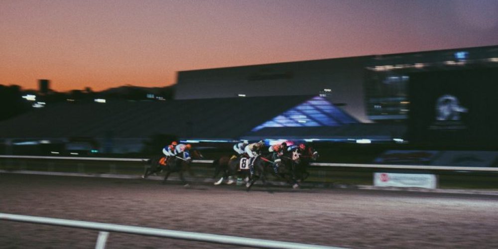 The 2026 Stakes: Why These Preakness Longshots Are Gaining Attention
