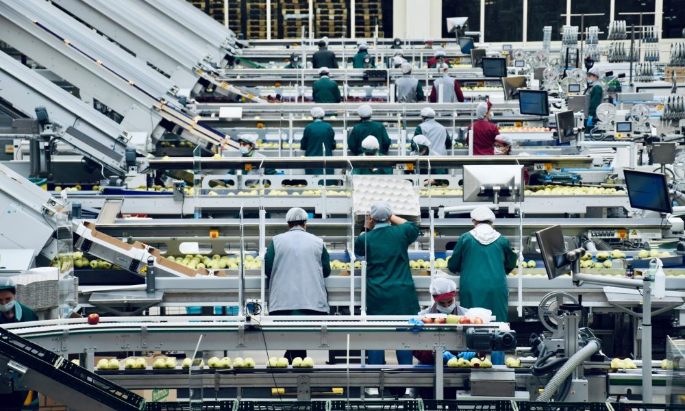 How Vertical Integration Can Transform Food Production