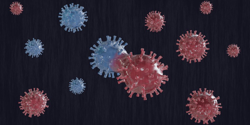 Hantavirus Outbreak at Sea Raises Global Health Concerns in 2026