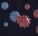 Hantavirus Outbreak at Sea Raises Global Health Concerns in 2026