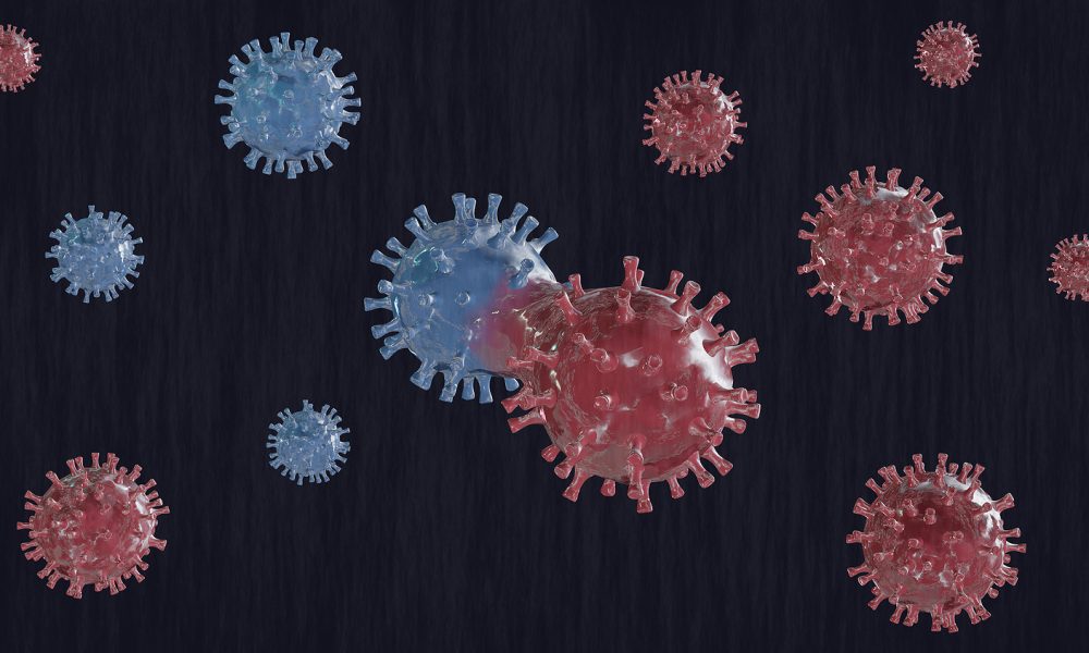 Hantavirus Outbreak at Sea Raises Global Health Concerns in 2026