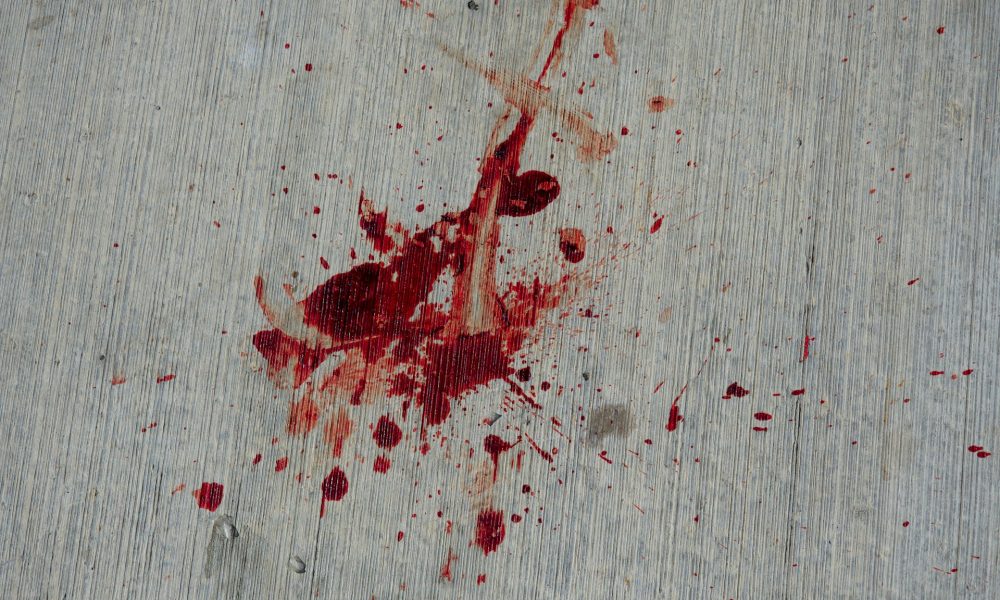 Anti-Putin Russian Artist Shot Dead In Poland